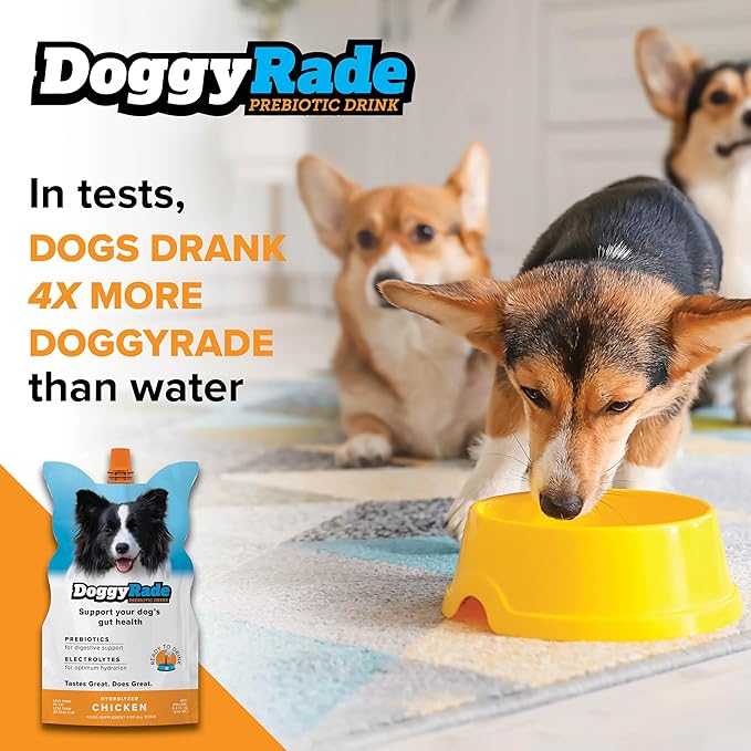 DoggyRade – Dog Sports Drink (Prebiotic, Isotonic Drink for Dogs) | Electrolytes, Nutrients & Amino Acids | Quick Hydration Drink for Dogs + Low Cal | More Than Just Water! | Chicken Flavor | 3x250ml