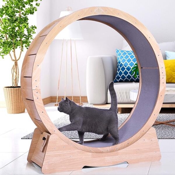 Revolutionary 42.5-inch Cat Exercise Wheel for Indoor Feline Fitness and Fun