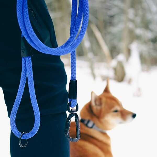 Leash with Carabiner Climbing Rope - 6 Feet