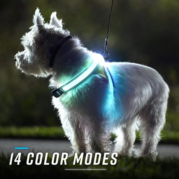 Medium High Vis Dog Harness Multicolor LED Illumination & Reflective Design