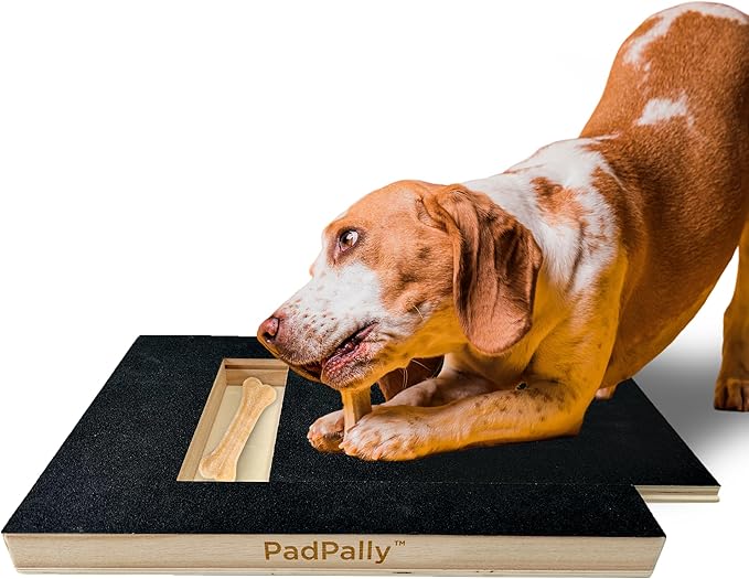 Dogs Scratch Square Pad - The 'PadPally' Dog Nail File Toy with Treat Box - Nail Grinder Self Scratcher Scratching Board