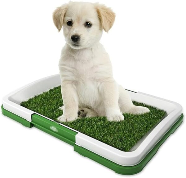 Indoor Dog Potty Training Tray with Grass Mat and Pee Pad – Essential Supplies for Puppies and Dogs, Also Suitable for Cat Litter Basin dogs toileting inside