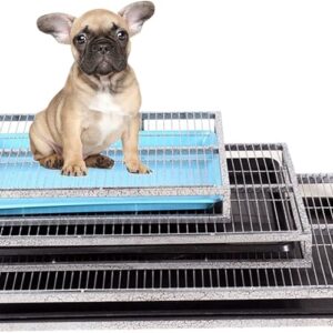 Large Capacity Dog Toilet Tray: Drip-Proof Puppy Training Pad, Easy to Clean Plastic Tray, Floor Protection big dog toilet