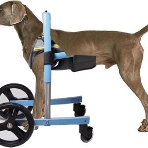 Adjustable Front Leg Dog Wheelchair for Small, Medium, and Large Dogs – Mobility Aid for Disabled Dogs (Size L) front wheelchair for dogs
