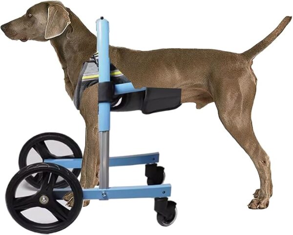 Adjustable Front Leg Dog Wheelchair for Small, Medium, and Large Dogs – Mobility Aid for Disabled Dogs (Size L) front wheelchair for dogs