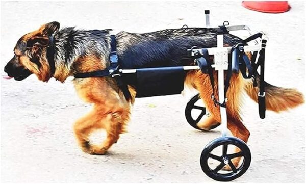 Adjustable Large Dog Wheelchair for Hind Leg Rehabilitation, Suitable for 20-60kg Dogs wheels for dogs back legs