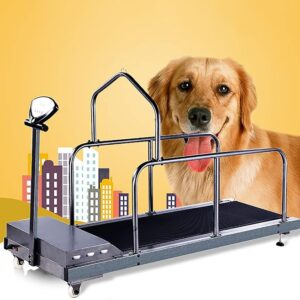 Folding Treadmill for Small and Medium Dogs: Indoor Exercise Solution for Running and Walking foldable dog treadmill