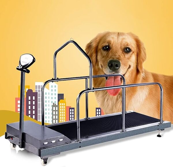 Folding Treadmill for Small and Medium Dogs: Indoor Exercise Solution for Running and Walking foldable dog treadmill