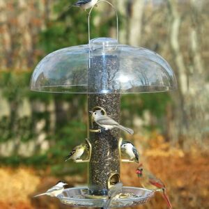 Large Tube Wild Bird Feeder with Seed, Dome, and Tray clear plastic dome bird feeders
