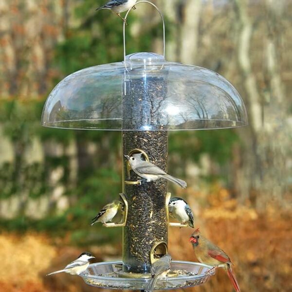 Large Tube Wild Bird Feeder with Seed, Dome, and Tray clear plastic dome bird feeders