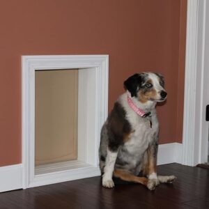 Freedom Pet Pass Ranger Insulated Dog Door for Walls - Large heavy duty dog door for wall