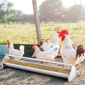 45-Inch Heavy-Duty Galvanized Steel Chicken Feeder with Drainage Holes & Crossbar – Large Capacity Trough for Chickens, Pigeons, Ducks, and Birds long chicken feeder