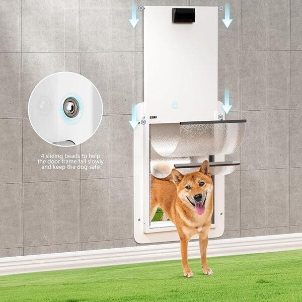 Adjustable Double-Flap Pet Door for Walls and Doors with Locking Panel, Ideal for Dogs and Cats Up to 220 lbs. pet doors for walls