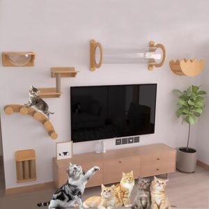 Space-Saving Cat Climbing Wall & Shelves for Play, Sleep, and Lounging – The Perfect Cat Playground cat furniture on wall