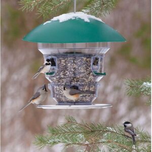 Feeding Frenzy Bird Feeder - No Electricity Needed dome covered bird feeders