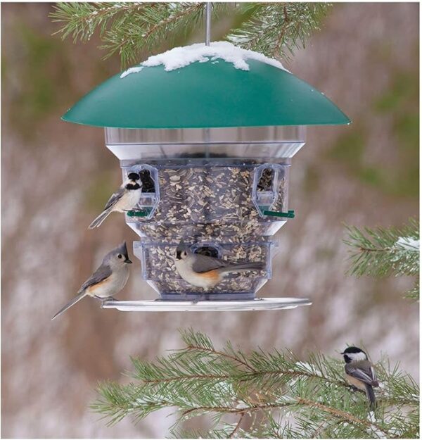 Feeding Frenzy Bird Feeder - No Electricity Needed dome covered bird feeders