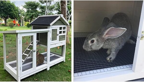 Versatile Wooden Rabbit Hutch with Run – Ideal for Chickens, Ducks, and Bunnies – Indoor/Outdoor Poultry Habitat with No-Leakage Tray and Spacious Living Area rabbit hutch for giant rabbit