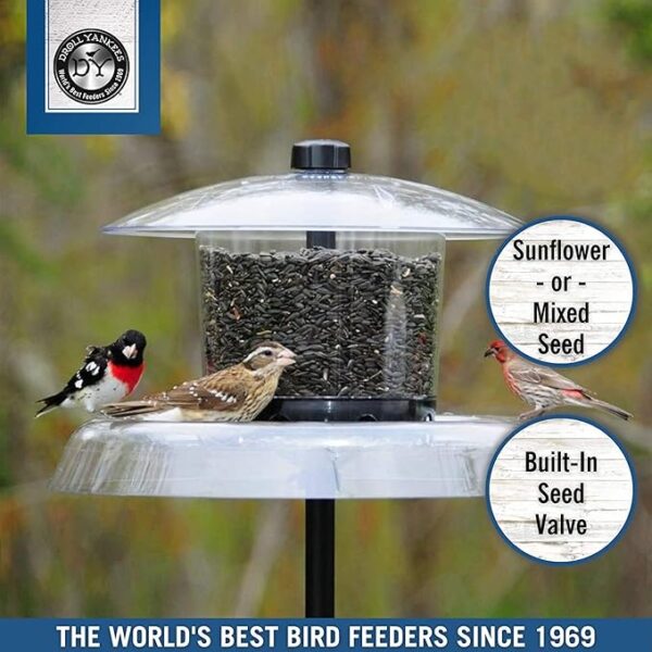 15-Inch Domed Bird Feeder with Squirrel Baffle Tray – 6 LB Seed Capacity, Clear, Large clear dome for bird feeder transparent bird feeder