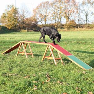 Weather-Resistant Dog Agility Dogwalk – Ideal for Beginner and Advanced Obstacle Courses, Walk and Pause Training Equipment dog agility dogwalk