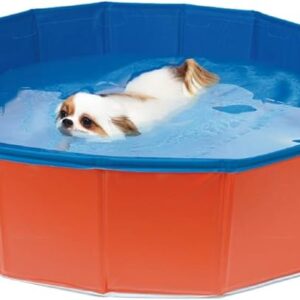 80 cm Diameter x 20 cm Width Dog Swimming Pool dog water pool