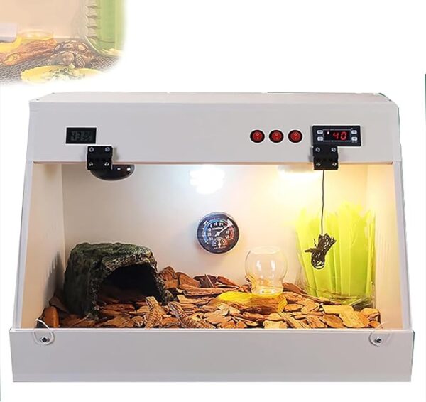 Lizard Habitat and Reptile Terrarium: Breeding Box, Insect Feeding Box, and Front-Opening Reptile Tank fancy bearded dragon habitat