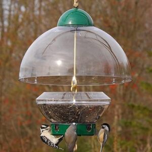 Large Green Squirrel-Resistant Bird Feeder clear bird feeder dome