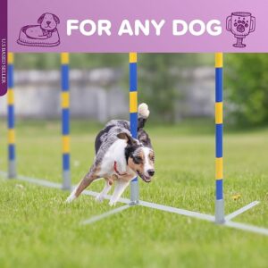 Competition-Grade Dog Agility Equipment: Weaving Poles and Obstacle Course Set for Training dog agility poles