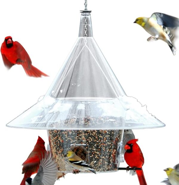 Large Squirrel-Proof Bird Feeder with Perches and 17" Clear Dome anti squirrel bird feeder