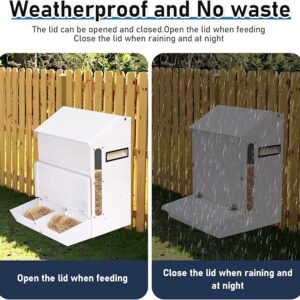 25LB Galvanized Rodent-Proof Automatic Chicken Feeder with Lid – No Waste Hanging Poultry Feeder for Quail, Bantams, Ducks, and Turkeys chicken duck feeder