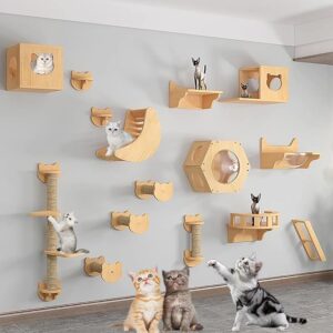 Cat Playground Wall Cat Furniture for Climbing, Sleeping, and Playing with Shelves and Perches cat on climbing wall