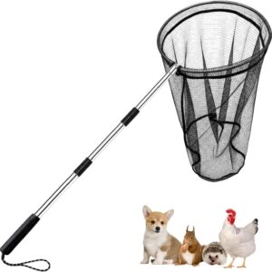 Stainless Steel Animal Catcher Net - 65" Extendable Poultry Net