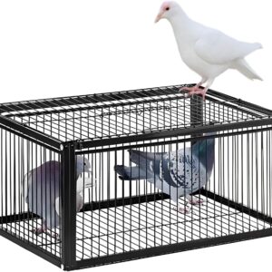 Premium Pigeon Trap Cage, One-Way Entry Live Bird Trap