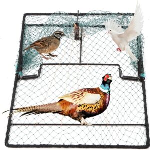 Humane Bird Trap - Foldable Pigeon Trap 15.7x19.7in