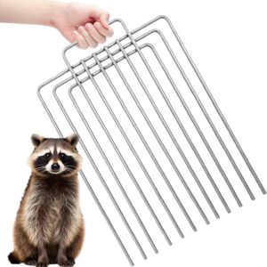 Stainless Steel Trap Divider for 12in Live Traps
