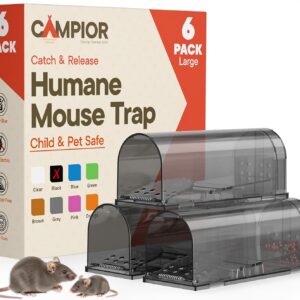 Campior Humane Mouse Trap (6-Pack) – Safe Catch & Release
