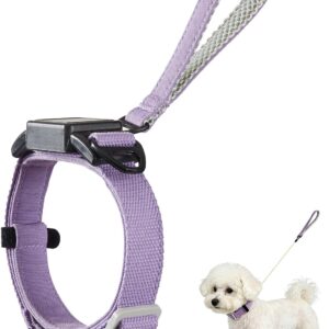 Retractable Dog Leash Collar - 4FT Kevlar, Purple, M