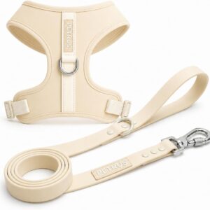 Adjustable No-Pull Dog Harness & Leash Set - Medium