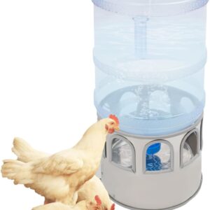 5-Gal Heated Chicken Waterer, 32-122°F Adjustable