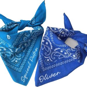 Custom Embroidered Paisley Bandana - Personalized Pet Scarf