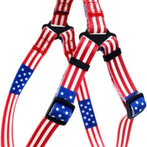 American Flag Dog Leash - 5 Ft, Durable & Patriotic