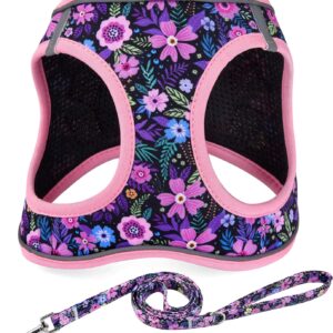 Mihqy Step-in Dog Harness & Leash Set, Pink Floral | Reflective