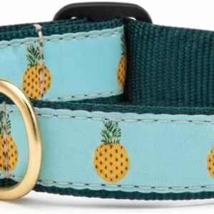 Up Country Pineapple Dog Collar - Large (15-21")