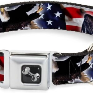 Dog Seatbelt Buckle Collar, Flying Eagle Flag, 11-17 Inches | USA Made