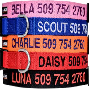 GoTags Custom Embroidered Dog Collar - Personalized Pet Name & Number