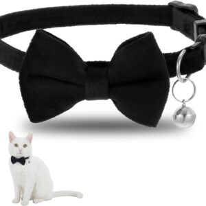 Black Velvet Cat Bow Tie Collar 7-11 Inches with Bell