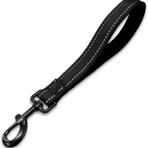 Black Heavy-Duty Nylon Dog Leash, 12" Padded Handle, 360° Swivel