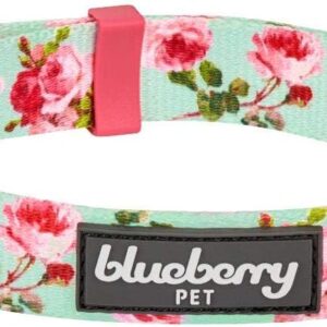 Blueberry Pet Rose Print Dog Collar - Turquoise, Medium