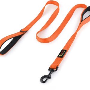 Plutus Pet Dog Leash 6ft, Heavy-Duty Reflective Dual Handle