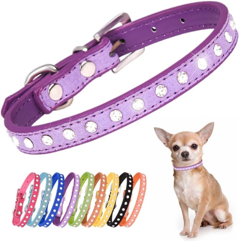 Pet Supplies